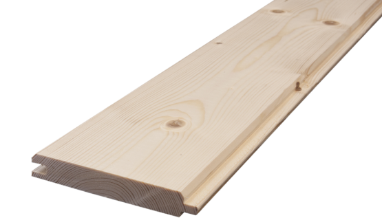 Lambéria borovi és luc fenyőből