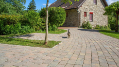 CASTRUM antik térkő