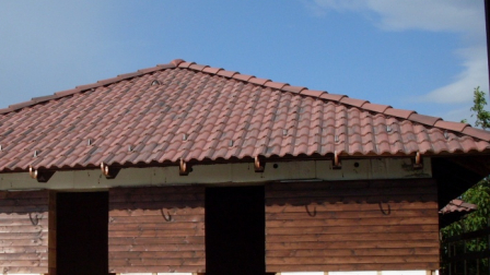 rustica-12