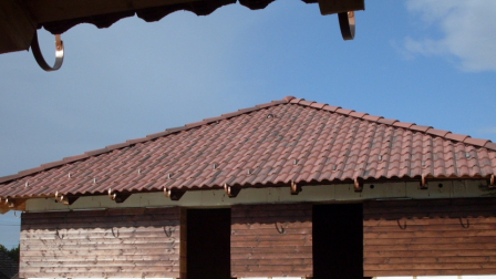 rustica-1